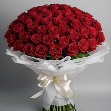 Букет 101 Красная роза Блэк Мэджик в Баранчинский