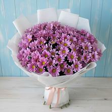 Букет цветов из:  Хризантемы #REPLACE_PRED# Баранчинский