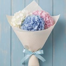 Букет цветов из:  Гортензия #REPLACE_PRED# Баранчинский