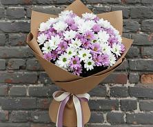 Букет цветов из:  Хризантемы #REPLACE_PRED# Баранчинский