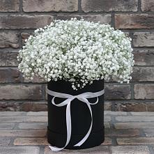 Цветочная композиция из Гипсофила в шляпной коробке #REPLACE_PRED# Баранчинский
