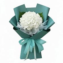 Букет цветов из:  Гортензия #REPLACE_PRED# Баранчинский